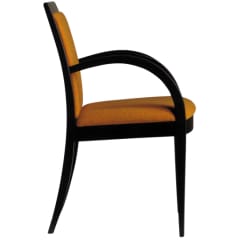 Modern Style Wood Arm Chair