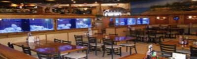RestaurantFurniture.net Supplies Molly’s Seafood Shack with New Restaurant Chairs and Bar Stools