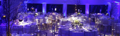 Classic Elegance of Chiavari Seating