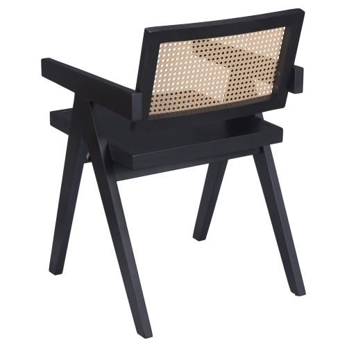 Gaia Cane Arm Chair