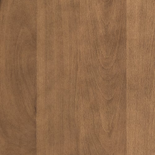 Stella Wood Bar Stool with Padded Back